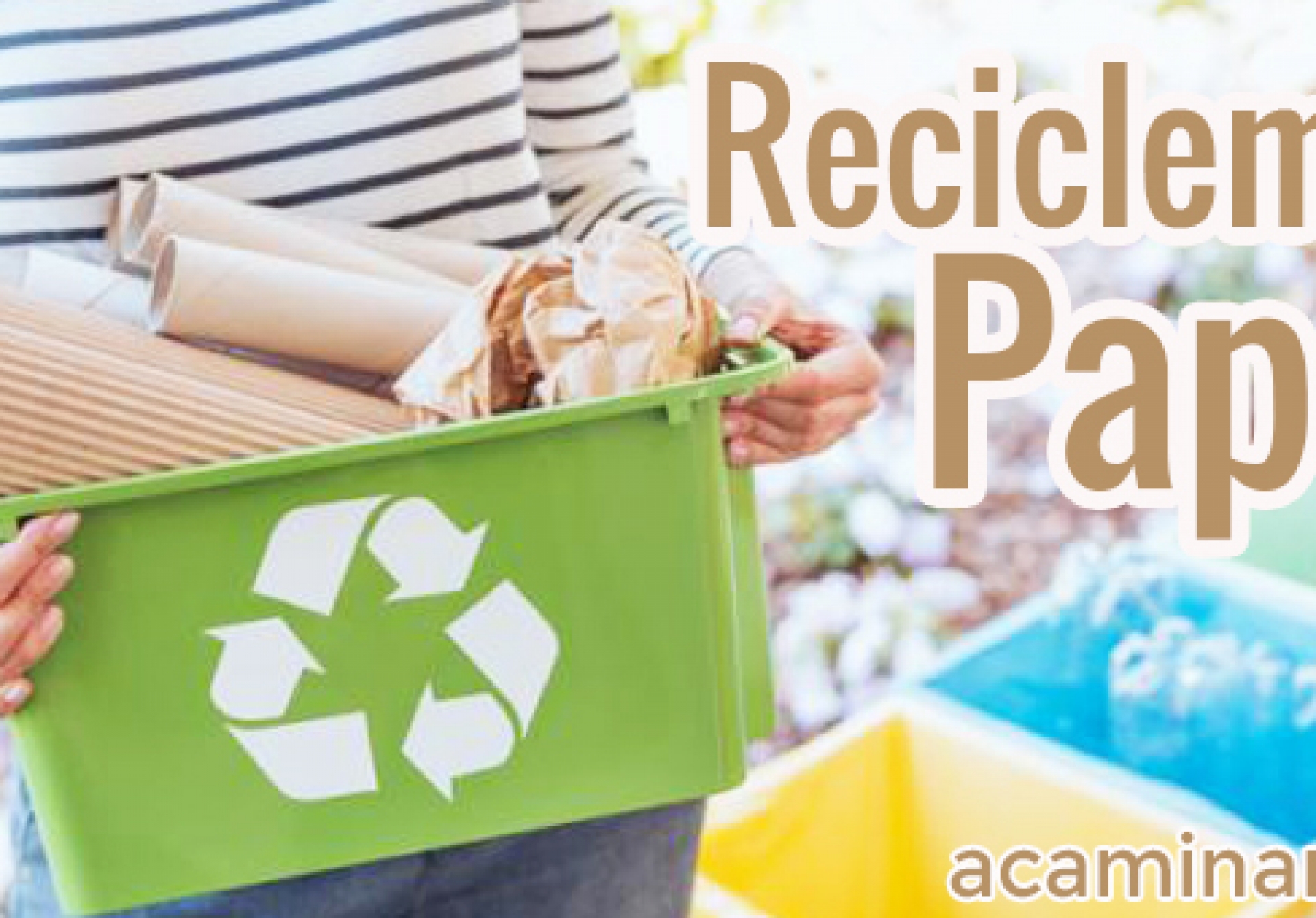 ▷ Reciclaje de papel y cartón para niños【¿Cómo se recicla?】