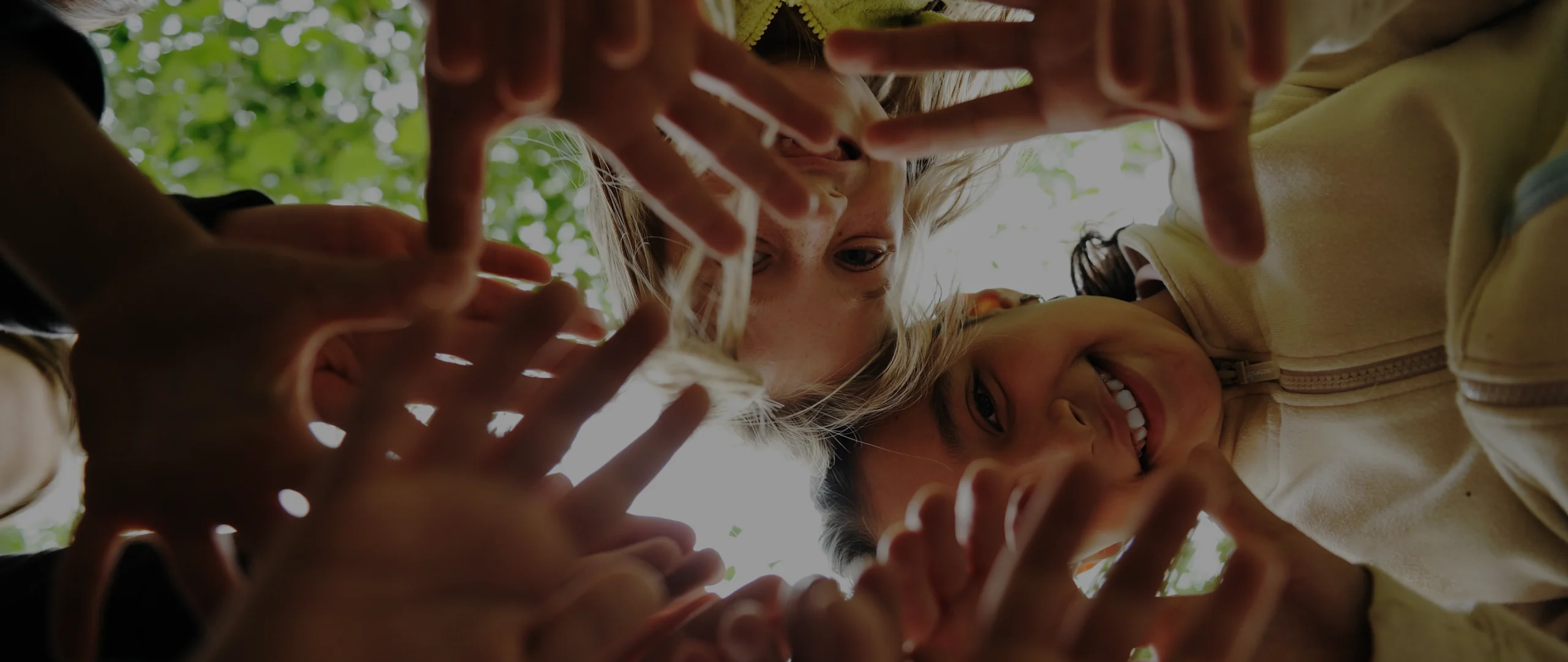 banner 3 scaled